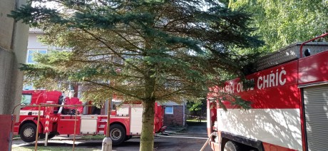 WhatsApp Image 2025-12-18 at 13.16.52