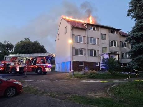 WhatsApp Image 2025-12-18 at 13.14.34