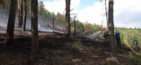 Lesní požár 004
