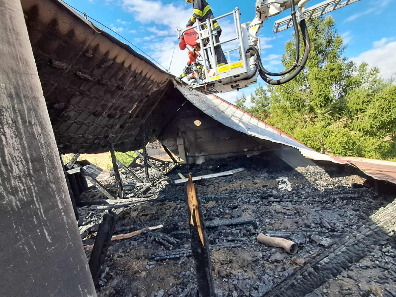 WhatsApp Image 2025-12-18 at 13.15.57