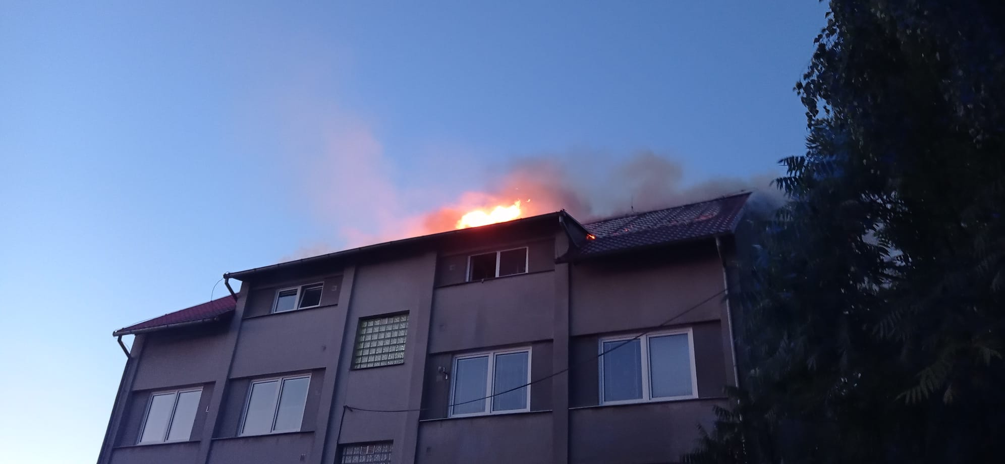 WhatsApp Image 2025-12-18 at 13.13.45